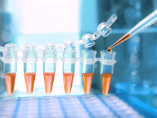 PCR components