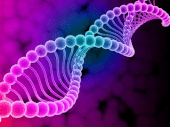 DNA_molecule.png