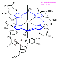 Vitamin B12 ( cobalamin) structure