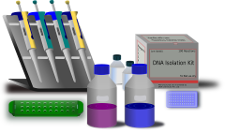 DNA extraction