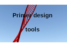 Primer design tools