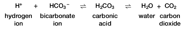 Carbonic acid bicarbonate buffer system