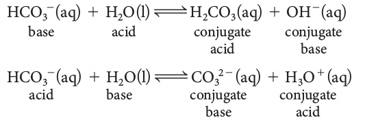Amphiprotic (Amphoteric) Substances - water and the hydrogen carbonate ion
