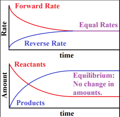 A dynamic equilibrium of a reversible reaction