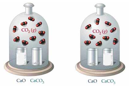 Heterogeneous equilibrium of calcium carbonate
