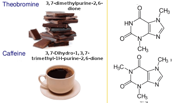 Theobromine, Caffeine structure - Heteroamines