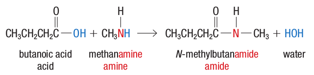 N-methylbutanamide