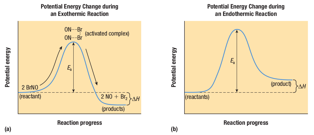 The change in potential energy